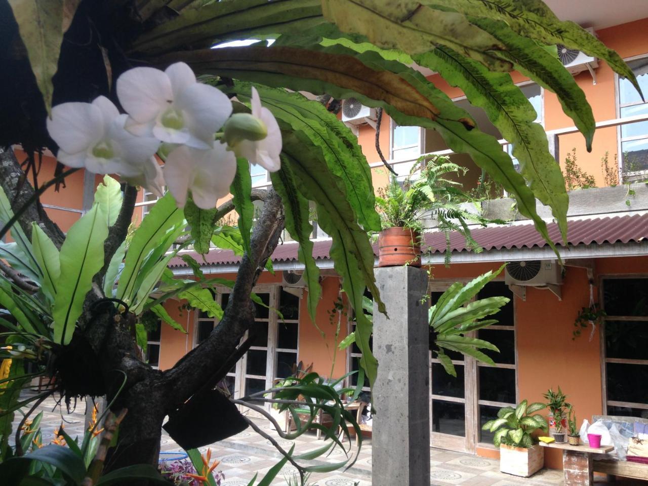 Canggu Pinpoint Rooms Exterior foto